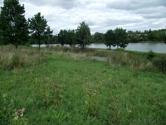 Prodej pozemku jako louka 29.000 m2