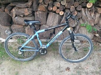 Author Basic SX vel. 17