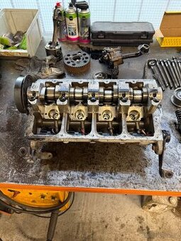 Hlava motoru 1.9TDI 77kw BLS