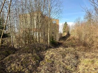 Za odvoz dřevo v celých délkách nařezat.