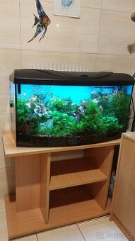 Akvárium i se stolkem