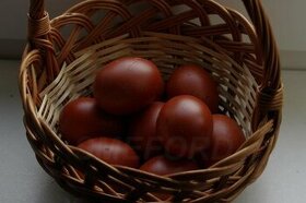 domácí vajíčka - 1