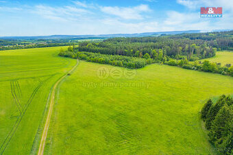 Prodej louky, 10193 m², Lešetice - 1