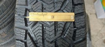 Zimní pneu 195/55R15 Sebring