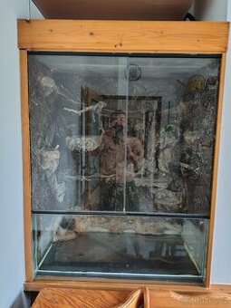 terarium