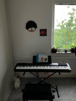 Piano - 1