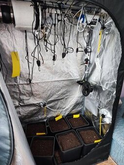 Pěstební box Mammoth Pro+ 120L s kompletním prislušenstvim.