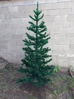 Vánoční stromeček