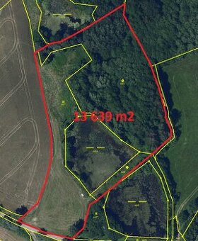 Prodej zemědělských pozemků v katastru obce Velká Losenice