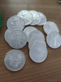 Stříbrná mince 1 Oz American Eagle 2009