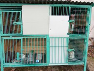prodám králikárnu