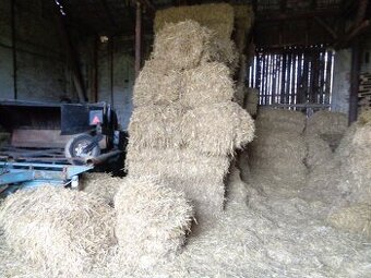 Sláma, balíky slámy