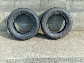 195/65/15 Letní pneu Dunlop Blue Respose