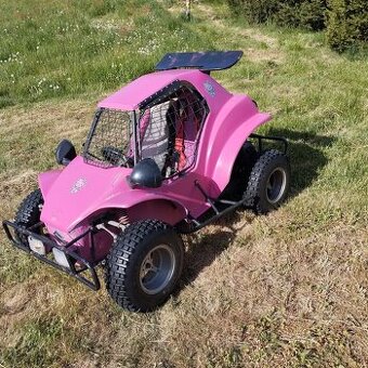HAVEL BUGGY
