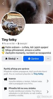 ✨ Levné focení zvířat i lidí – krásné momentky s atmosférou