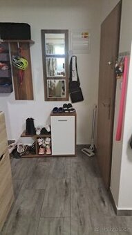 Pronájem bytu 2+1