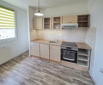 Pronájem zrekonstruovaného bytu 2+1, Hodonín