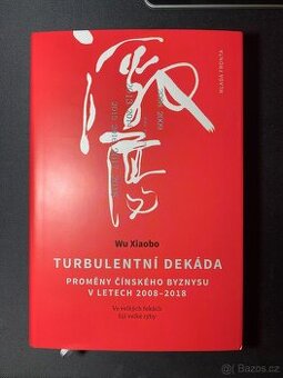 Kniha Turbulentní dekáda