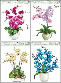 Dekorační fólie na okna-Květiny Orchideje - 1