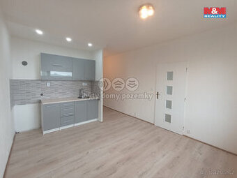 Prodej bytu 1+1, DV, 35 m², Krupka, ul. Karla Čapka