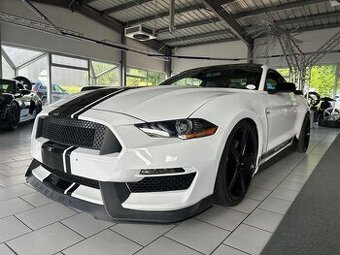 Ford Mustang 5.0 V8 GT Shelby Style (č.1094)