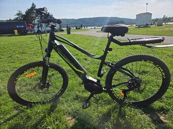 Lectron Montana Max