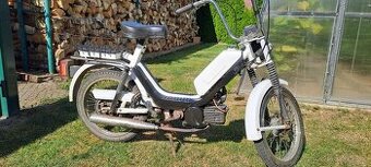 Babeta 210