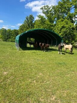Pastevní ustájení i pro hřebce JINDŘICHŮV HRADEC