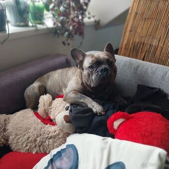 Hledáme nevěstu - 1