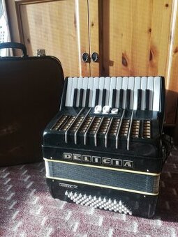 Akordeon - Harmonika  Delicia 60 basů + kufr