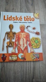 Lidské tělo, jak funguje,  popis.