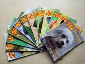 Časopisy PES (2006)