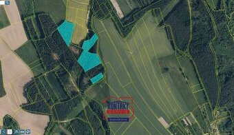 Prodej lesních pozemků u obce Radostín, ev.č. VŠ-7690 - 1