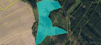 Prodej, Lesní pozemek, k.ú. Babice u Okrouhlice, Volichov