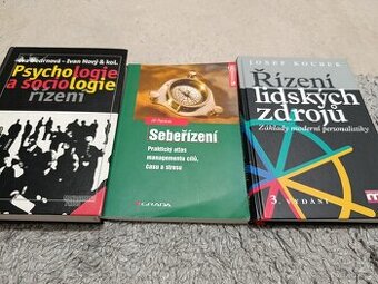 Management - Bedrnová, Koubek, Plamínek