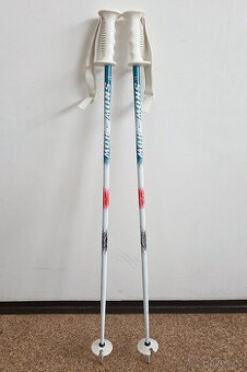 Lyžařské hůlky 110 cm