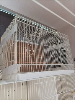 Klec