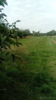 zahrada 6000 m2 - 1