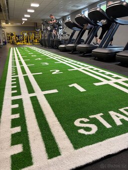 SPRINT TRACK 12m x 2m - PROFI