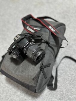 Canon EOS 250D + 18-55 IS + Vanguard VESTA Aspire 41