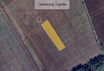Prodej pole v k.ú. Veltrusy - 1