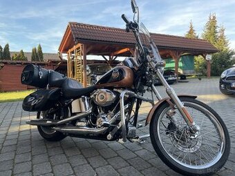 Harley Davidson softail