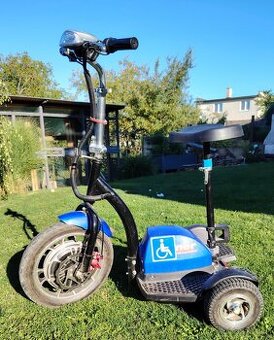 Runner 800 Plus Elektrická tríkolka