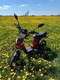 E-BABETA RACCEWAY LIMITED EDITION 2022 vínová metalíza