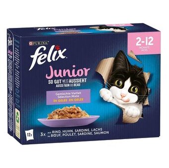 Kapsičky pro koťata