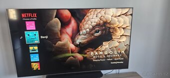 Samsung 55" Neo QLED 4K TV QE55QN85B - PERFEKTNÍ STAV