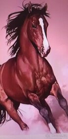 5d diamantové malování - běžící kůň