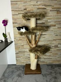 Kočičí stromy - 1