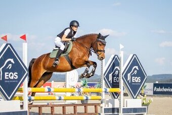 5ti letá PONY B klisna do sportu