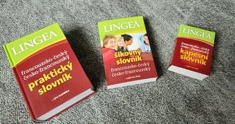 Praktický a šikovný slovník Francouzština + kapesní slovník